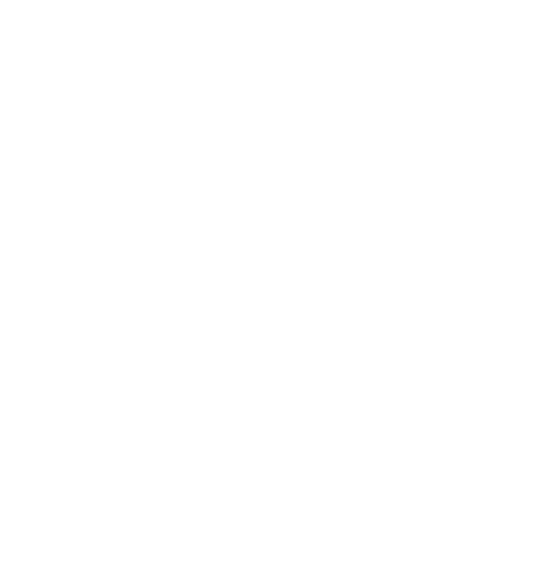Power Limpeza — logo oficial